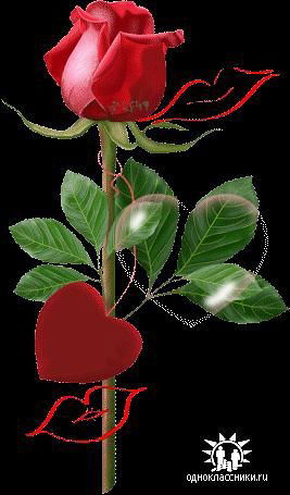 Люда Ерастова