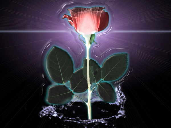 Бондаренко Виталий