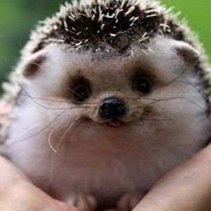 Анастасия Кубрина