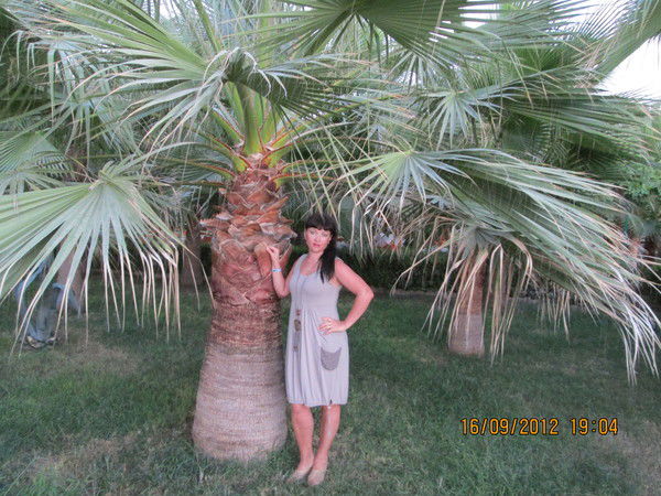 Лариса Толстогузова