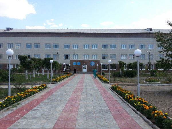 Кгп На Пхв Абайская Црб Отдел Статистики