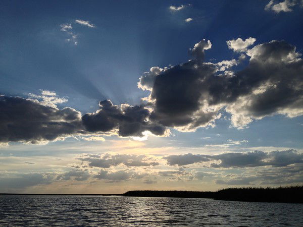 Олег Чесновский