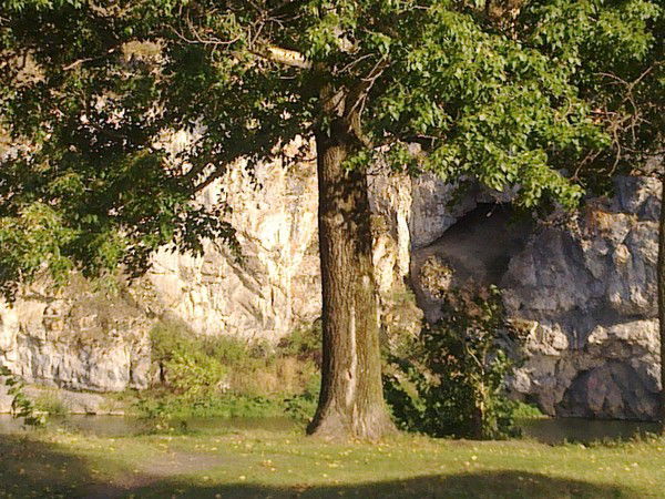 Альберт Янбирдин