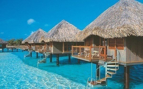 Елена Елена