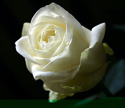 Жанар Абикеева