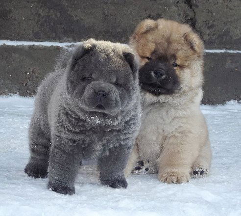 Надежда Смирнова