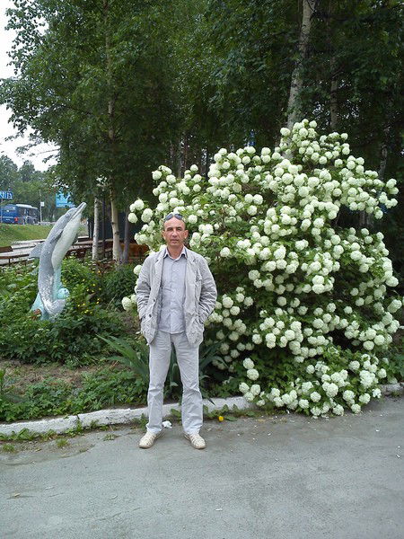 Сергей Кобылин