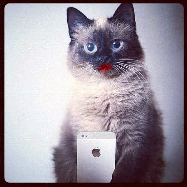 Kolvach Anna Olegovna