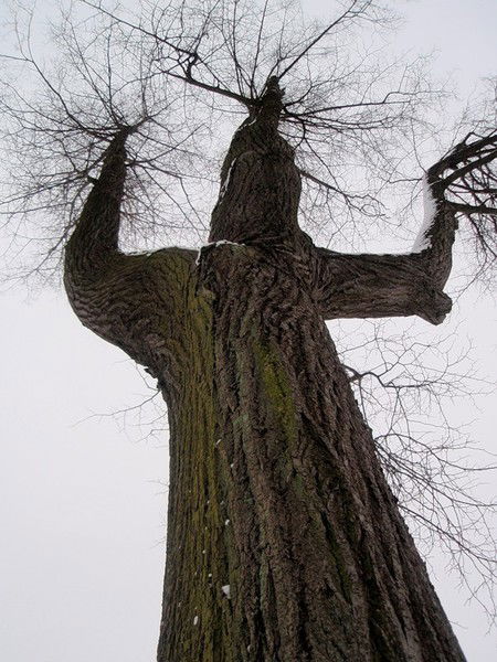 Денис Тараренко