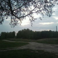 Ярослав Бадаев