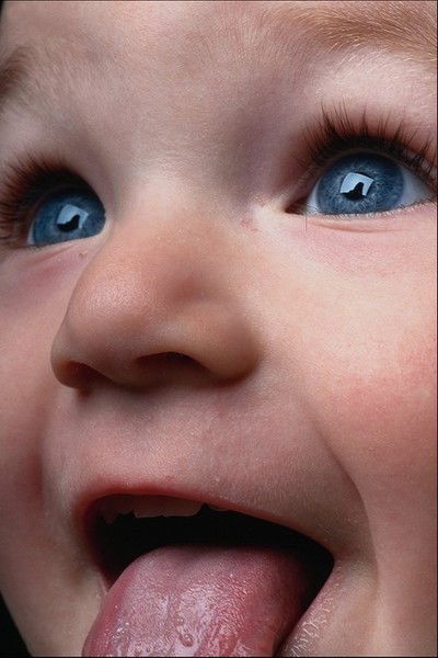 Андрей Сенкевич