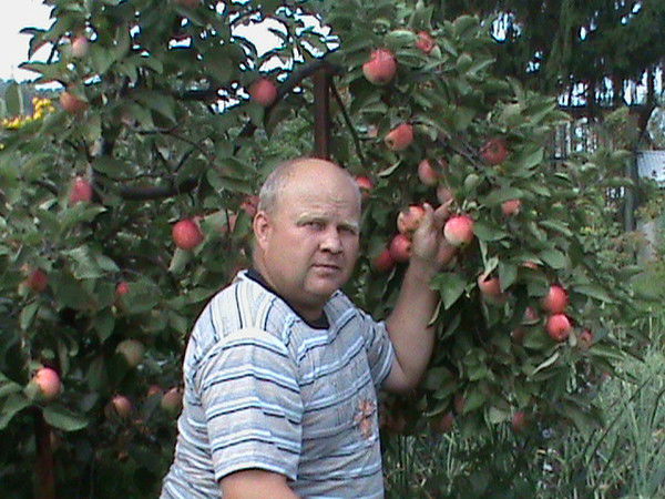 Сергей Морокин