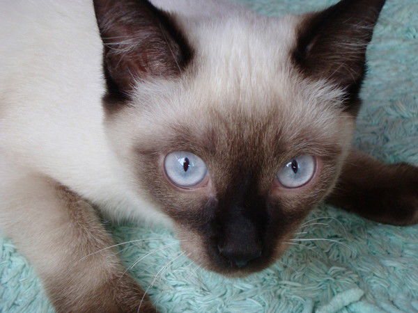 Евгения Тусуп