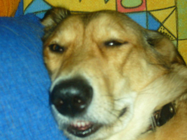 Егоров Сергей