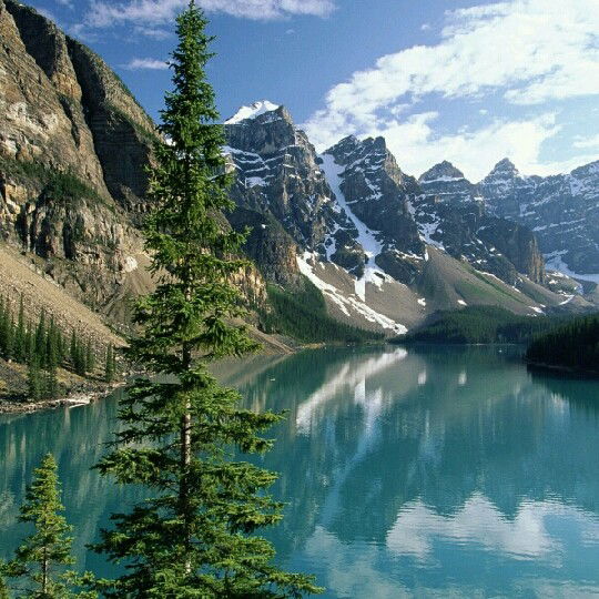 Айдар Шарибаев