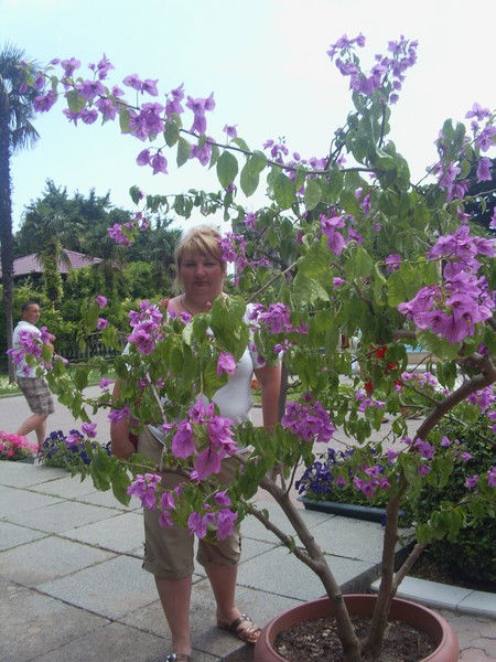 Елена Меркурьева