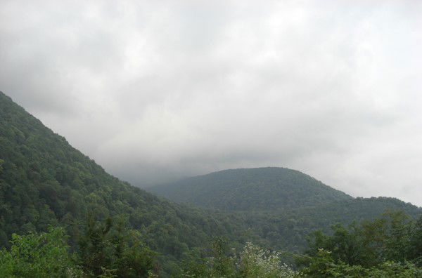 Елена Подножкина