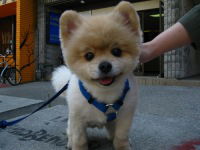 Евгений Брусенский