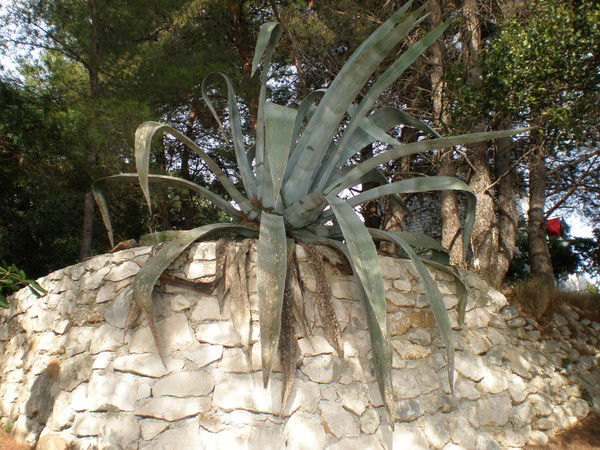 Наталья Хан