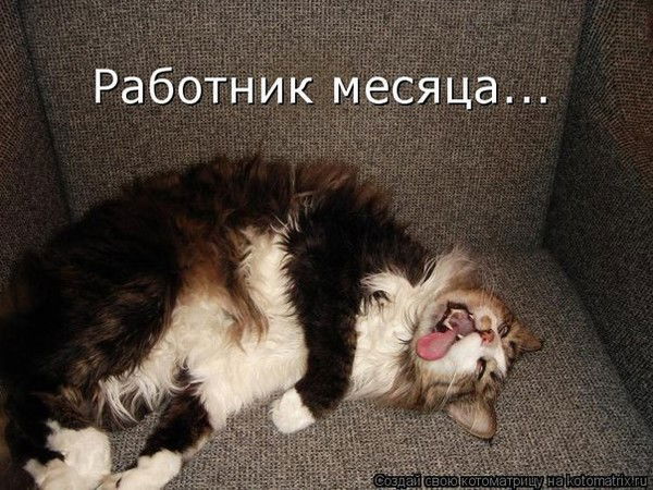 Наська Камалова***