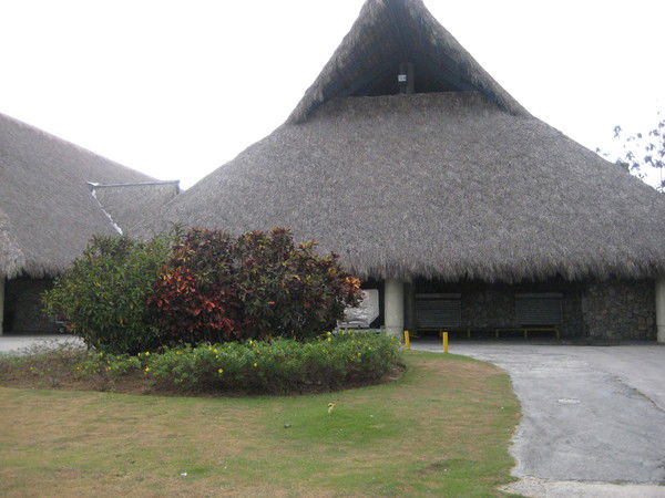 Алла Шик (Щекаева)