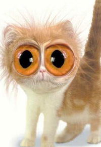 Алексей Ушаков