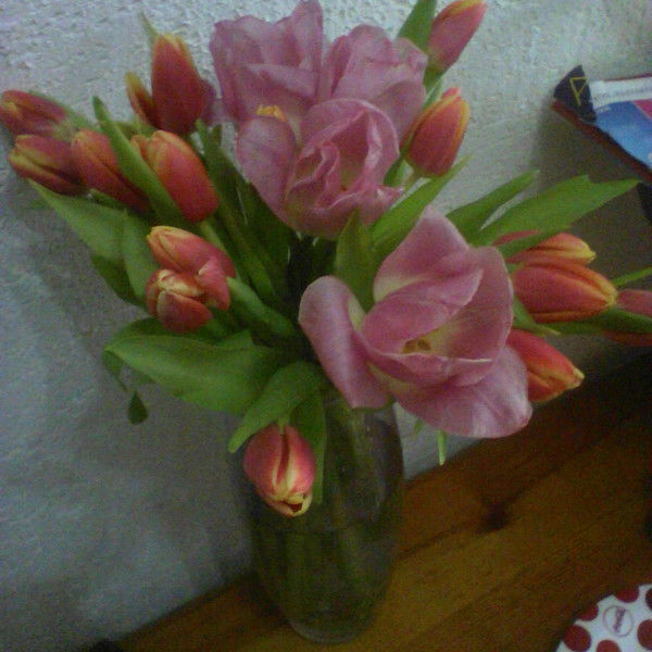 Вероника Крылова