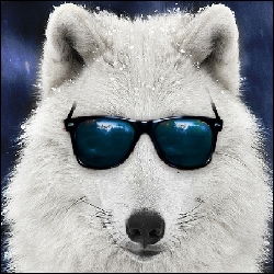 Темнобелос .