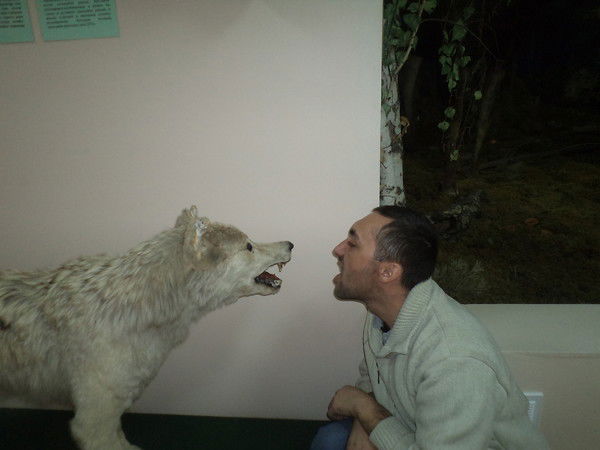 Александр @volk@