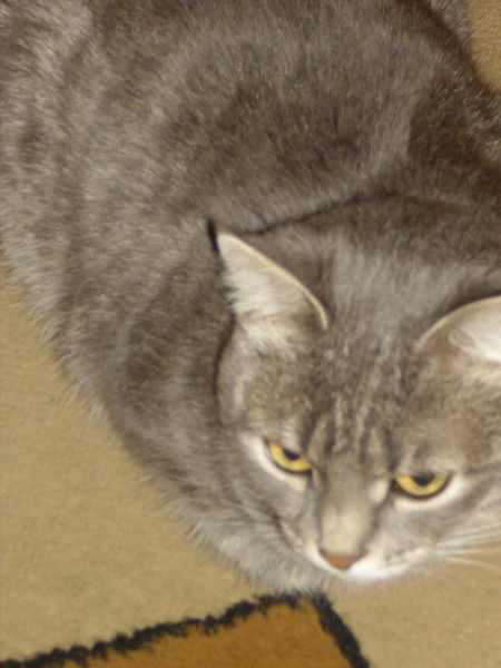 Ирина Федоренко