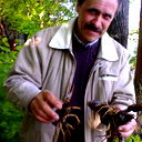 Андрей Александров
