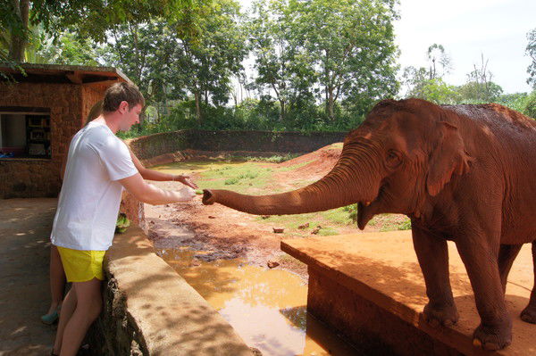 Вова Бубнов