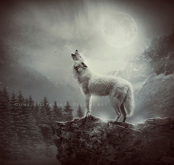 Азат Абдырайымов