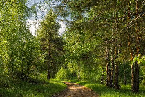 Лесхоз Мартук Лесхоз