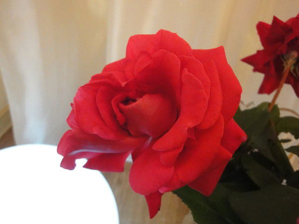 Жанат Разьянова