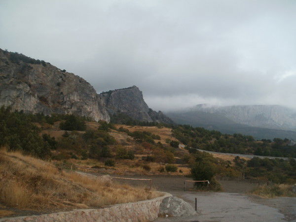 Александр Петриченко