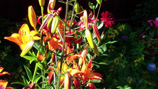 Валерий Хрянин