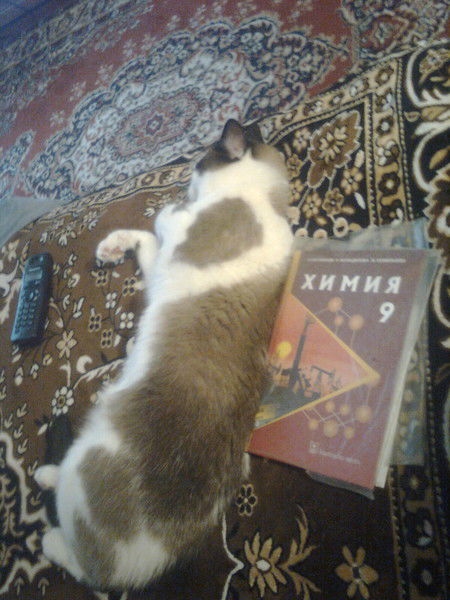 Татьяна Твердохлебова