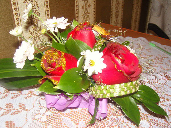 Елена Долина