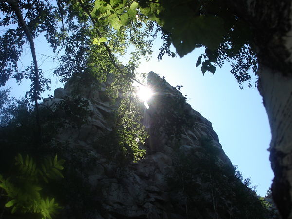 Дмитрий Тельминов