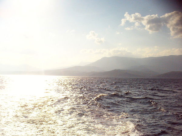 Марина Медвецкая