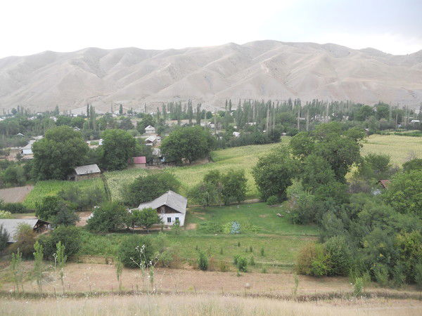 Автандил Добулбеков