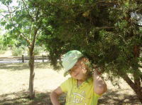 Софія Ляшко