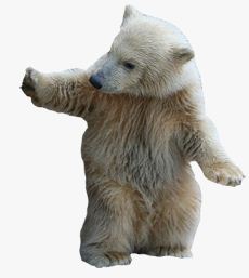 Сергей Кузнецов