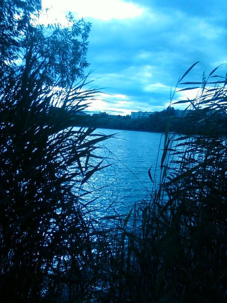 Василий Русаков