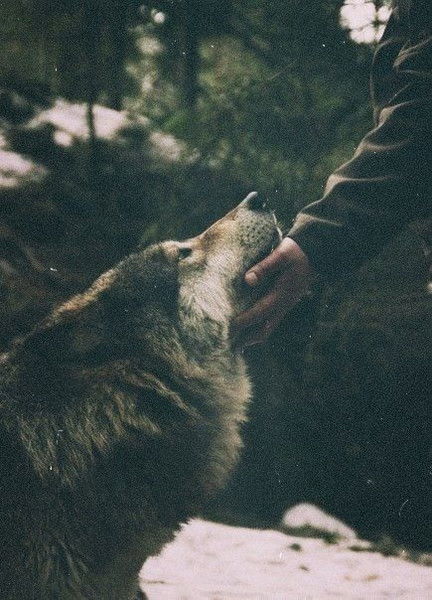 Маша Логинова