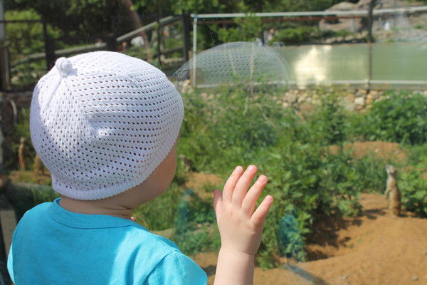 Ильнара Фазулова