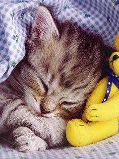 Наталья Климова