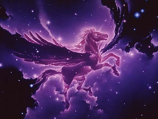 Елена Будунова (Одарюк)