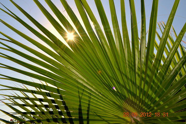 Elai Tours Elai Tours